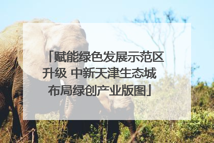 赋能绿色发展示范区升级 中新天津生态城布局绿创产业版图