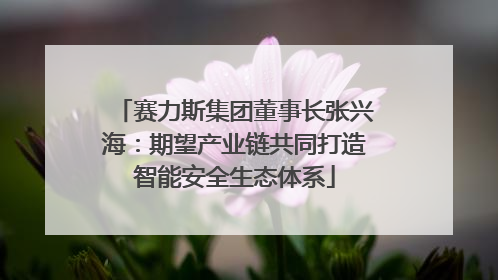 赛力斯集团董事长张兴海：期望产业链共同打造智能安全生态体系