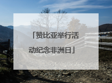 赞比亚举行活动纪念非洲日