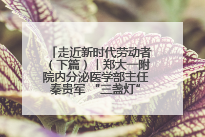 走近新时代劳动者（下篇）丨郑大一附院内分泌医学部主任秦贵军 “三盏灯”下的医者人生