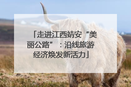 走进江西靖安“美丽公路”：沿线旅游经济焕发新活力