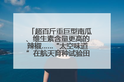超百斤重巨型南瓜、维生素含量更高的辣椒……“太空味道”在航天育种试验田里拔节生长