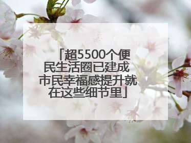 超5500个便民生活圈已建成 市民幸福感提升就在这些细节里