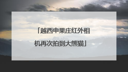 越西申果庄红外相机再次拍到大熊猫