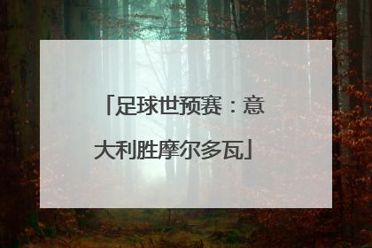 足球世预赛：意大利胜摩尔多瓦