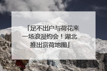 足不出户与荷花来一场浪漫约会！湖北推出赏荷地图