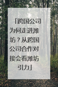 跨国公司为何走进潍坊？从跨国公司合作对接会看潍坊引力