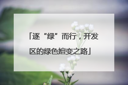 逐“绿”而行，开发区的绿色嬗变之路