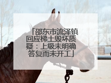邵东市流泽镇回应梯土毁坏质疑：上级未明确答复而未开工
