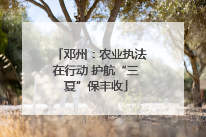 邓州：农业执法在行动 护航“三夏”保丰收