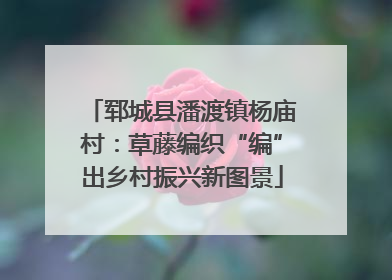 郓城县潘渡镇杨庙村：草藤编织“编”出乡村振兴新图景