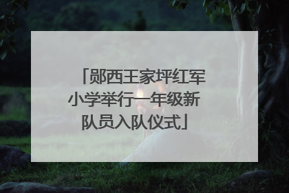 郧西王家坪红军小学举行一年级新队员入队仪式