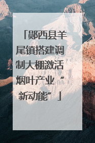 郧西县羊尾镇搭建调制大棚激活烟叶产业“新动能”