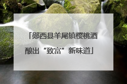 郧西县羊尾镇樱桃酒酿出“致富”新味道