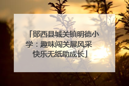 郧西县城关镇明德小学：趣味闯关展风采 快乐无纸助成长