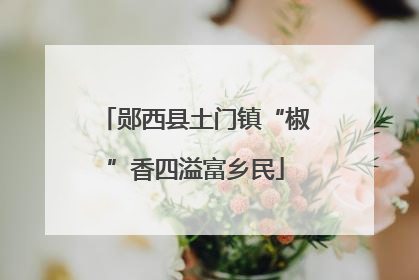 郧西县土门镇“椒”香四溢富乡民