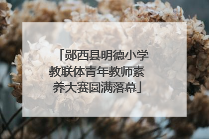郧西县明德小学教联体青年教师素养大赛圆满落幕