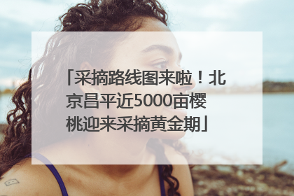 采摘路线图来啦！北京昌平近5000亩樱桃迎来采摘黄金期