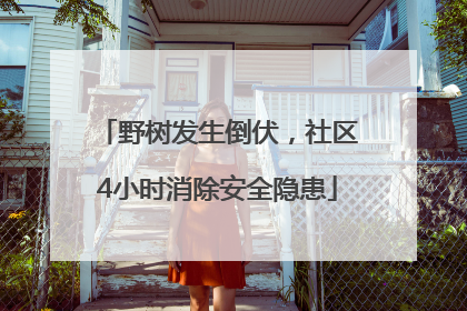 野树发生倒伏，社区4小时消除安全隐患