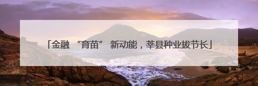 金融 “育苗” 新动能，莘县种业拔节长