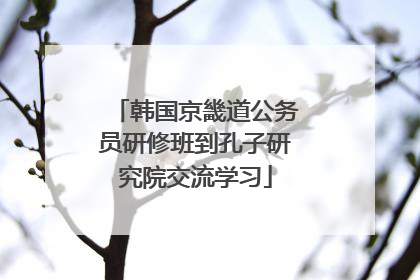 韩国京畿道公务员研修班到孔子研究院交流学习