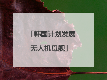 韩国计划发展无人机母舰