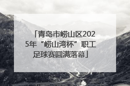 青岛市崂山区2025年“崂山湾杯”职工足球赛圆满落幕