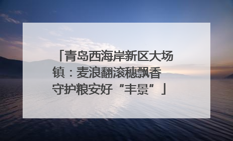 青岛西海岸新区大场镇：麦浪翻滚穗飘香 守护粮安好“丰景”