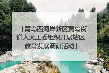 青岛西海岸新区黄岛街道人大工委组织开展辖区教育发展调研活动