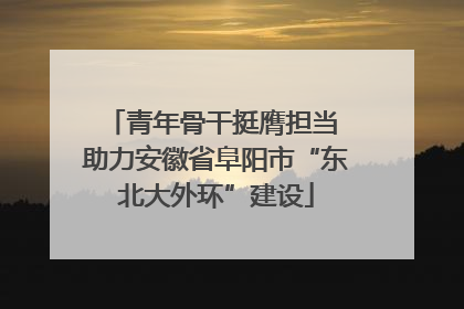 青年骨干挺膺担当 助力安徽省阜阳市“东北大外环”建设