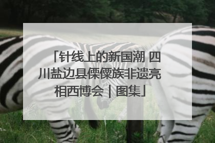 针线上的新国潮 四川盐边县傈僳族非遗亮相西博会｜图集
