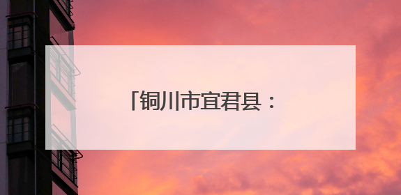 铜川市宜君县：艾草飘香迎端午 特色产业助振兴
