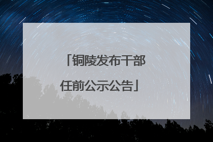 铜陵发布干部任前公示公告