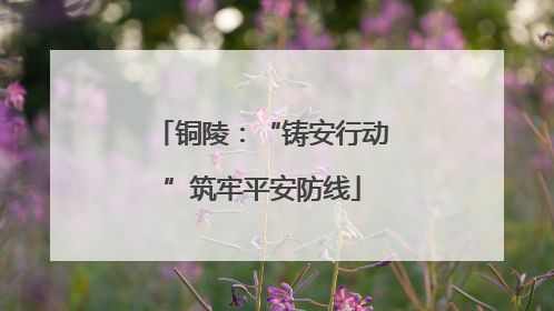铜陵：“铸安行动”筑牢平安防线