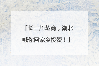 长三角楚商，湖北喊你回家乡投资！