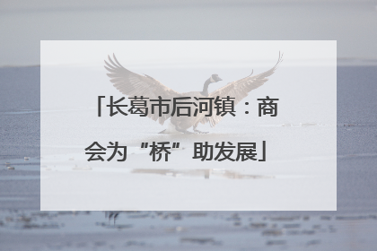 长葛市后河镇：商会为“桥”助发展