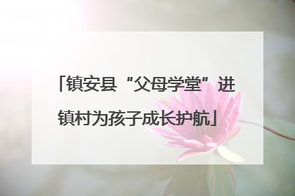 镇安县“父母学堂”进镇村为孩子成长护航