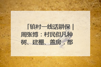 镇村一线话耕保｜周张博：村民但凡种树、建棚、盖房，都要向街道报批