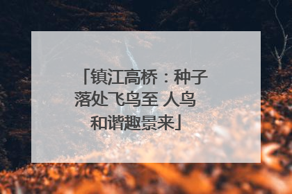 镇江高桥：种子落处飞鸟至 人鸟和谐趣景来