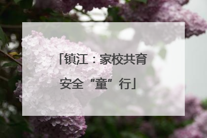 镇江：家校共育 安全“童”行