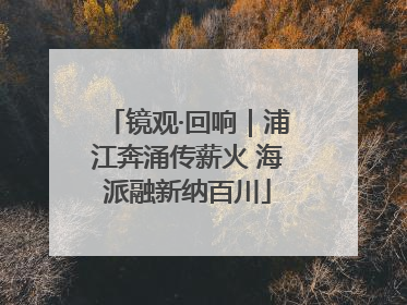 镜观·回响｜浦江奔涌传薪火 海派融新纳百川