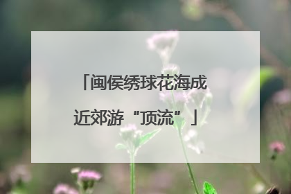 闽侯绣球花海成近郊游“顶流”