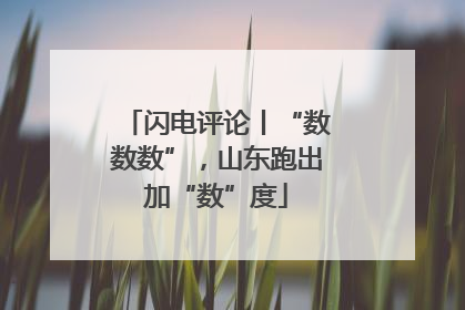 闪电评论丨“数数数”，山东跑出加“数”度