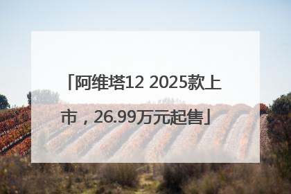 阿维塔12 2025款上市，26.99万元起售