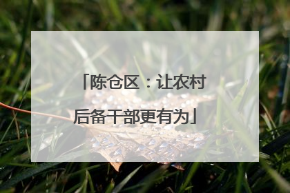 陈仓区：让农村后备干部更有为