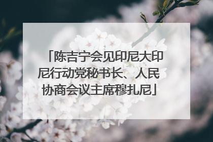 陈吉宁会见印尼大印尼行动党秘书长、人民协商会议主席穆扎尼