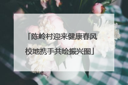 陈岭村迎来健康春风 校地携手共绘振兴图