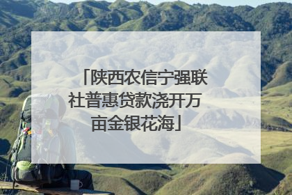 陕西农信宁强联社普惠贷款浇开万亩金银花海