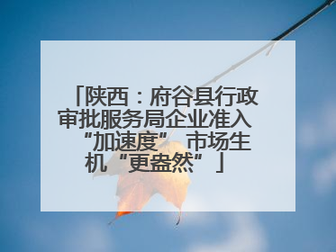 陕西：府谷县行政审批服务局企业准入“加速度” 市场生机“更盎然”