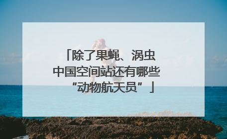 除了果蝇、涡虫 中国空间站还有哪些“动物航天员”